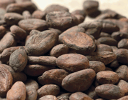 Wat zijn de ingrediënten van chocolade?